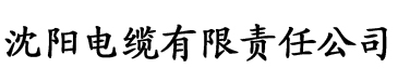 亚洲精品中文无码AV在线播放电缆厂logo